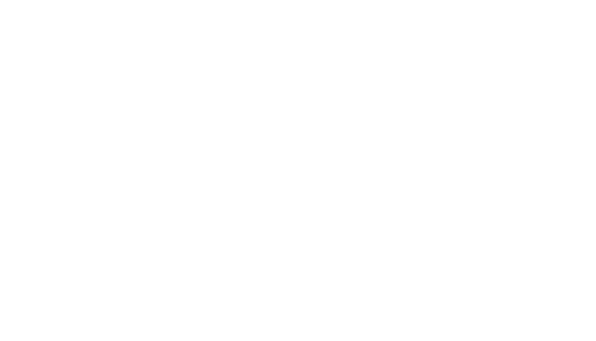 Page Bros Group